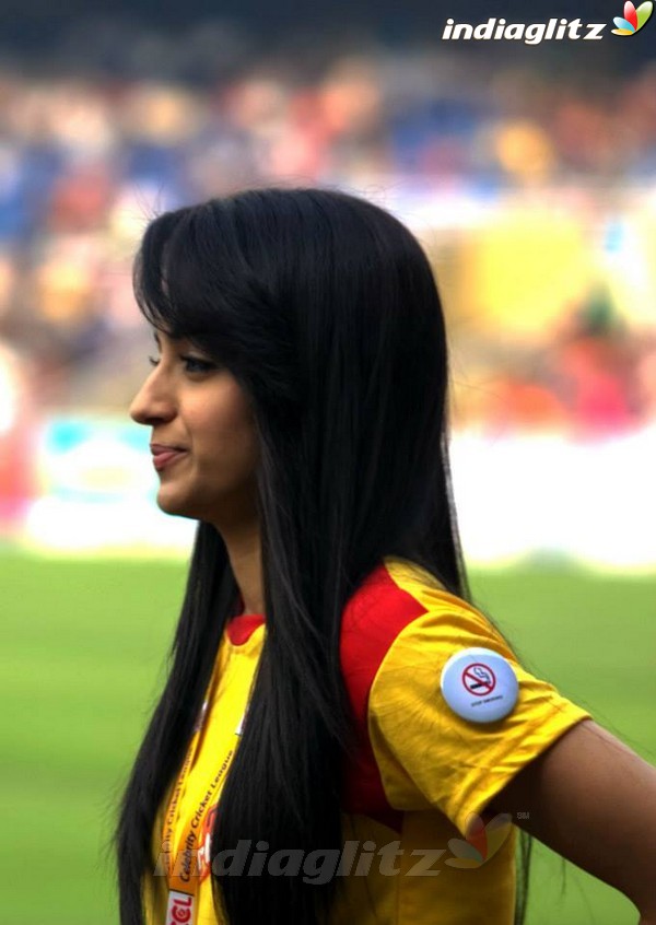 Trisha Krishnan @ Celebrity Cricket League